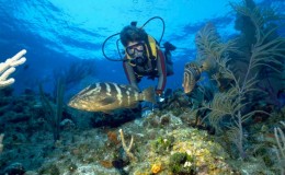 Best Scuba Destinations Caymans