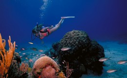 Best Scuba Destinations Caymans