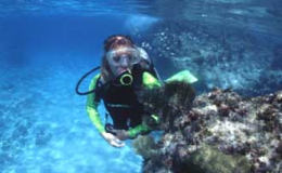 Scuba Diving Destinations