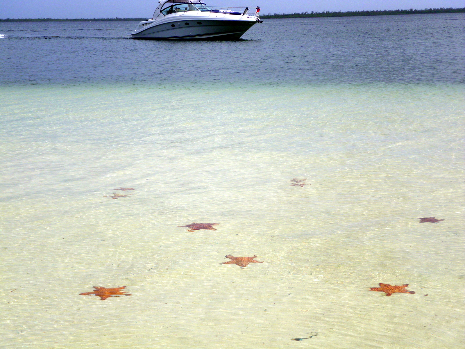 Star fish point, Cayman Islands