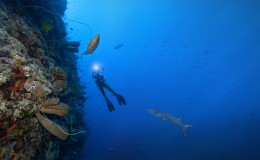 Scuba Diving Cayman Islands
