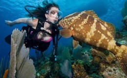 Scuba Diving Little Caymans