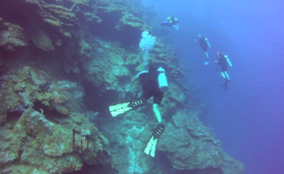 Scuba Diving Destinations Caymans