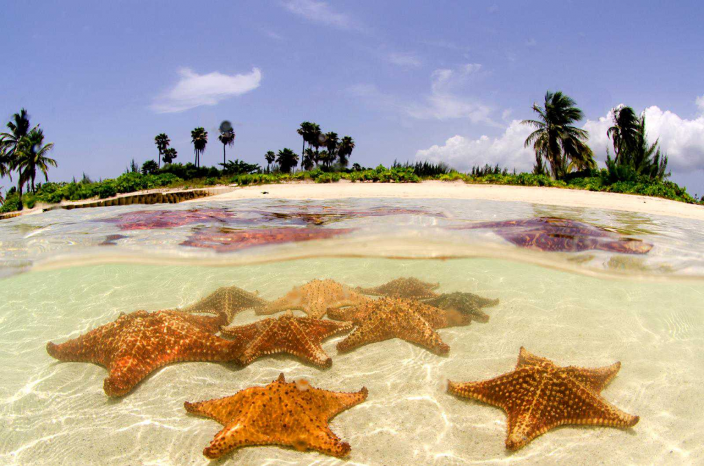 crystal clear waters in Cayman 